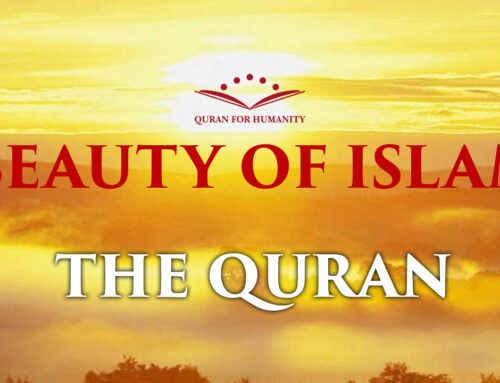 The Quran – Beauty of Islam 2